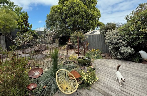 Williamstown House | Cheap house for Christmas in Williamstown (need to feed 3 cats & water garden)