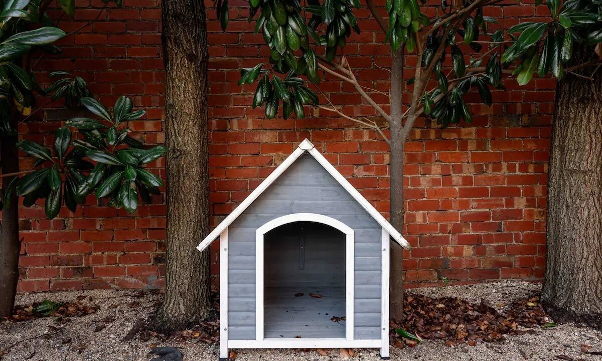 Photo of Outdoor in Caulfield North