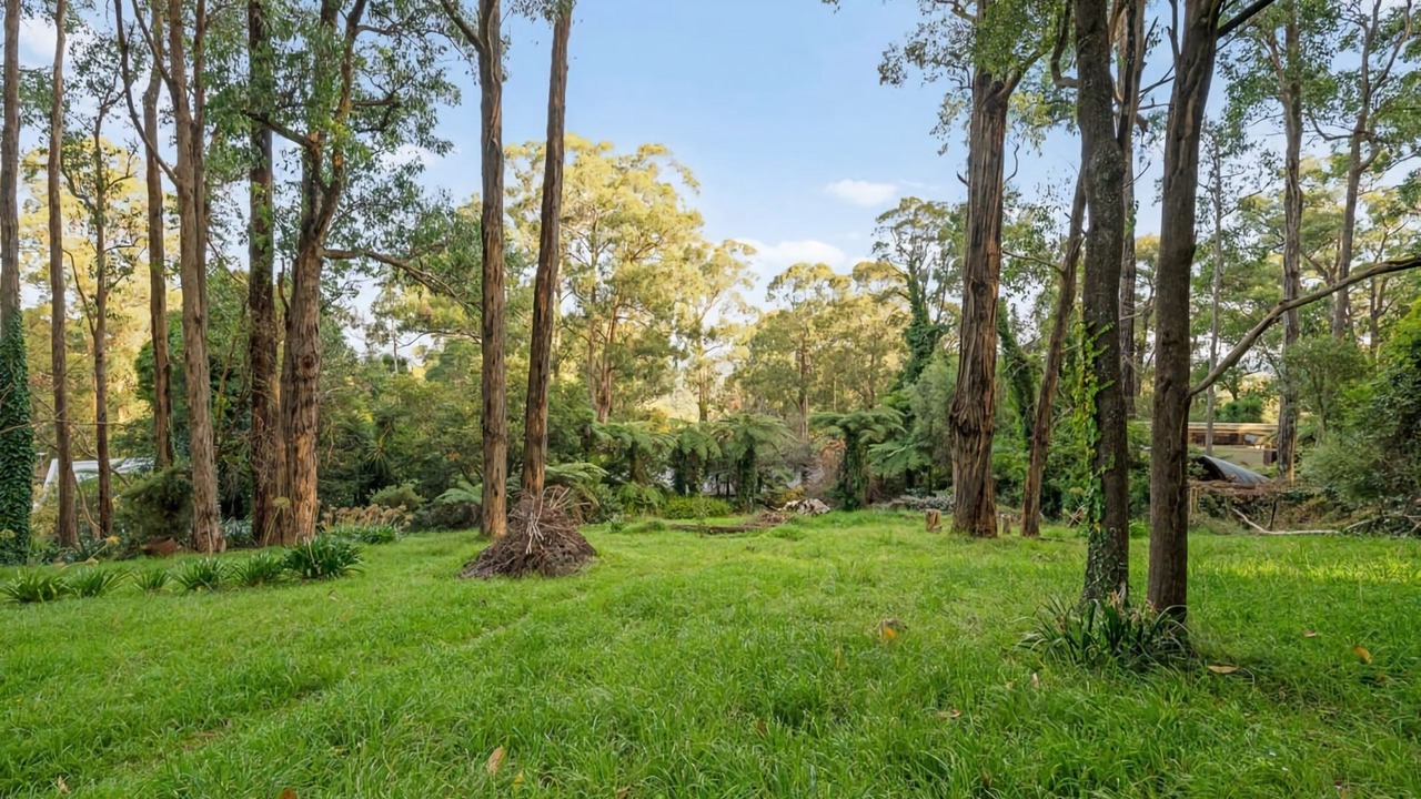 Photo of Outdoor in Menzies Creek