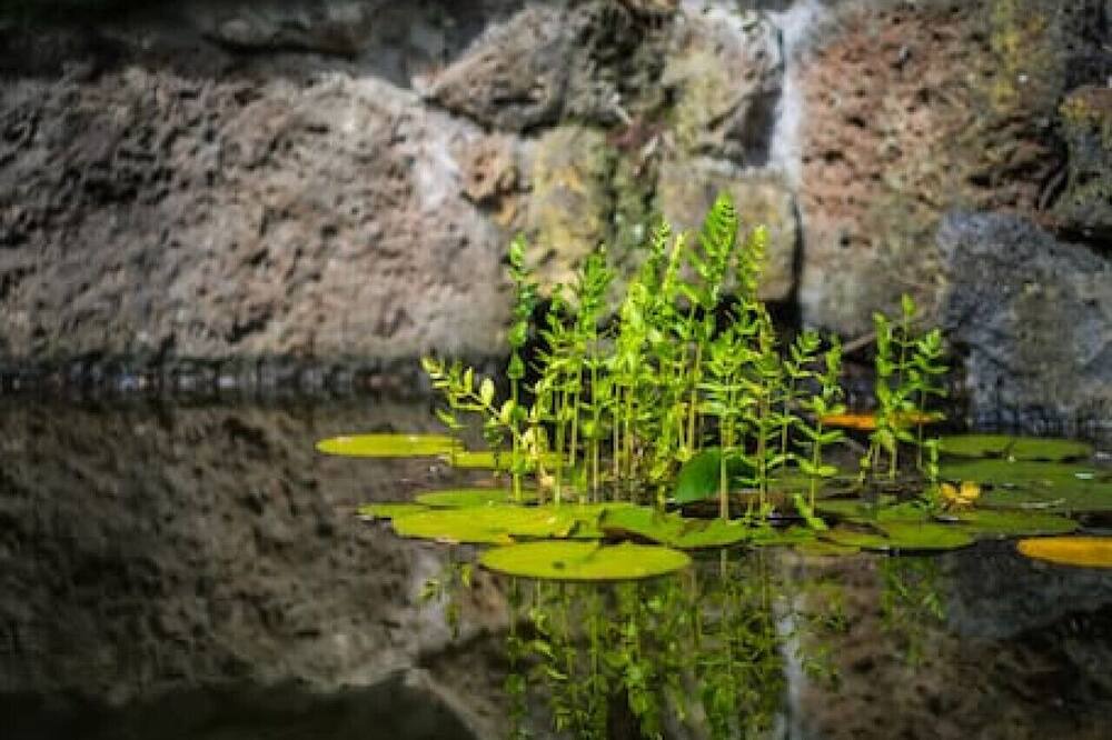 Photo of Others in Warrandyte