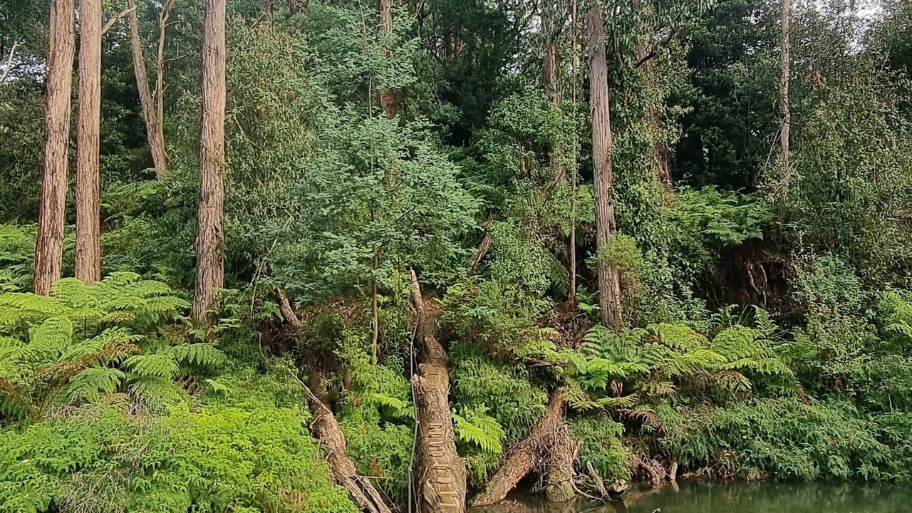 Photo of Outdoor in Emerald