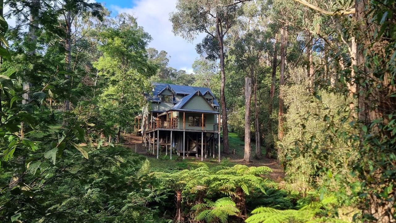 Photo of Outdoor in Emerald