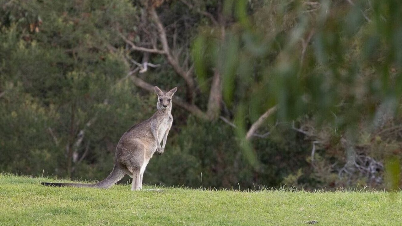 Photo of Outdoor in Gisborne South