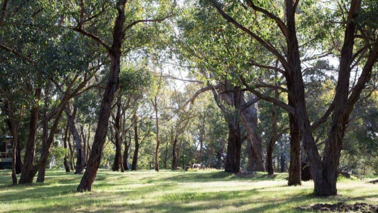 Photo of Outdoor in Gisborne South