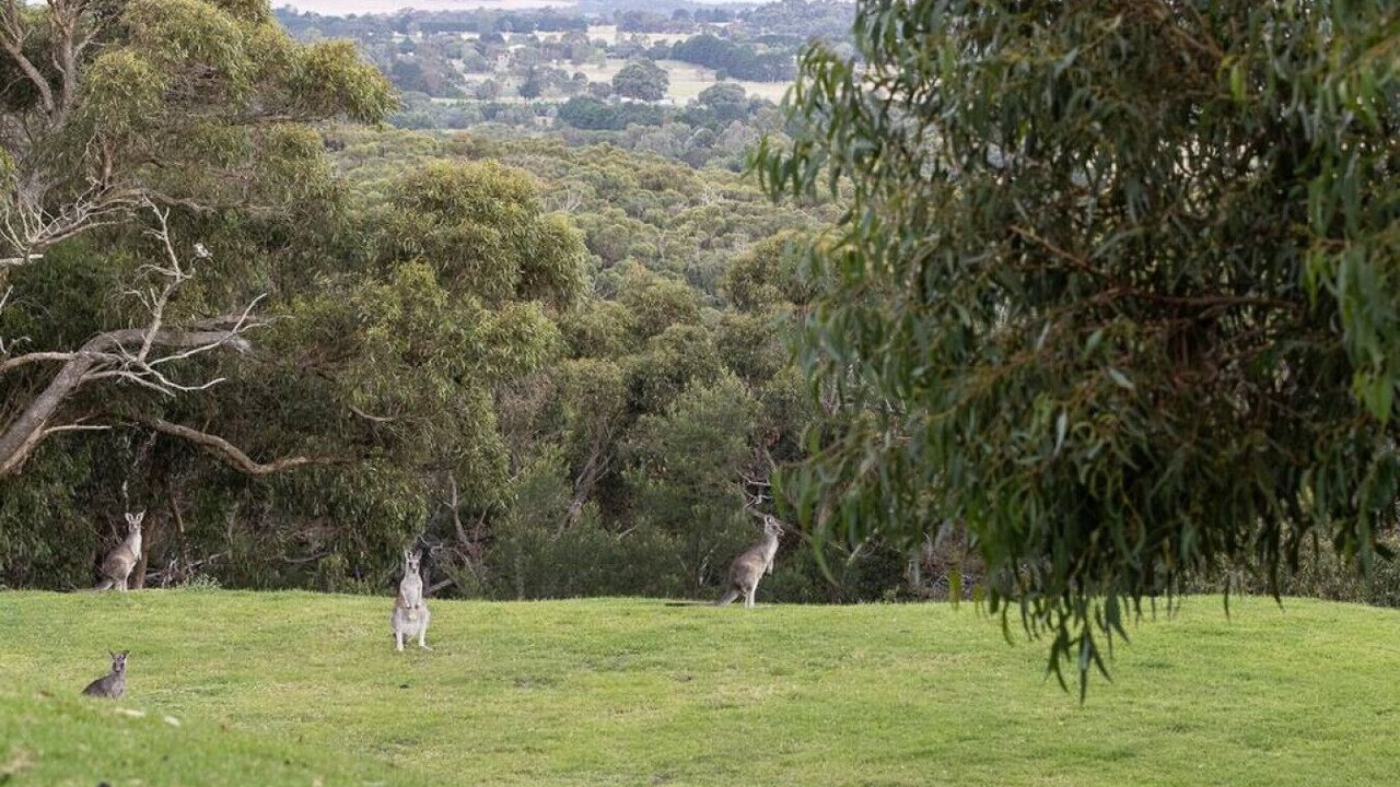 Photo of Others in Gisborne South