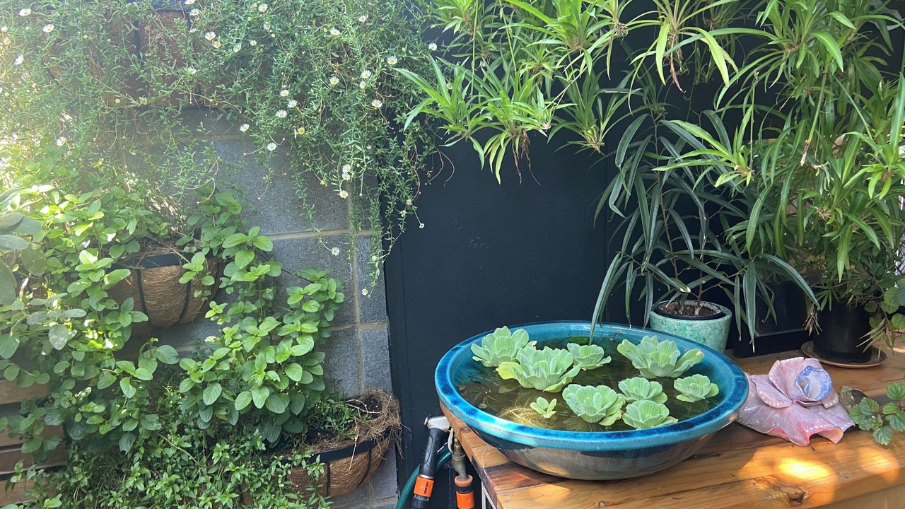 Photo of Outdoor in Coburg
