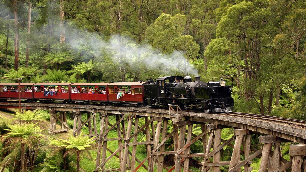 Photo of Others in Ferny Creek