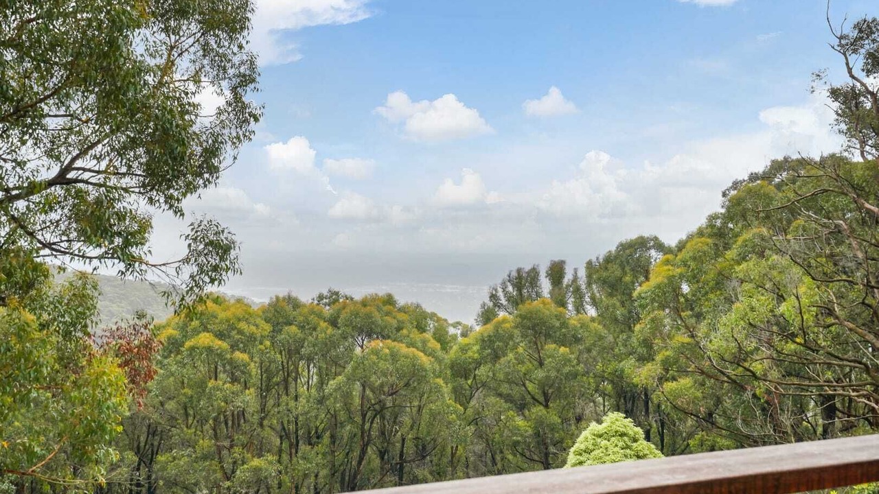 Photo of Outdoor in Ferny Creek