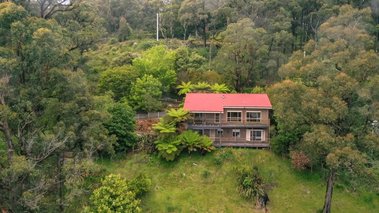 Photo of Outdoor in Ferny Creek