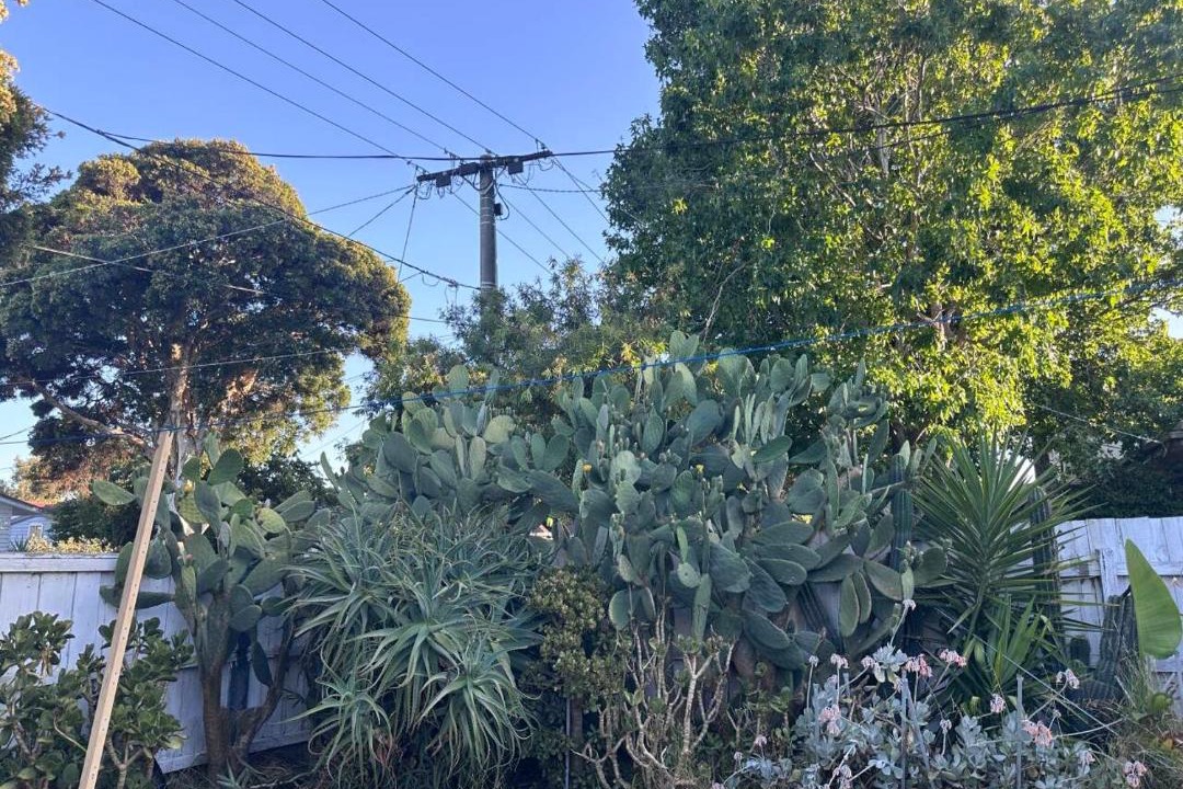 Photo of Others in Clayton South